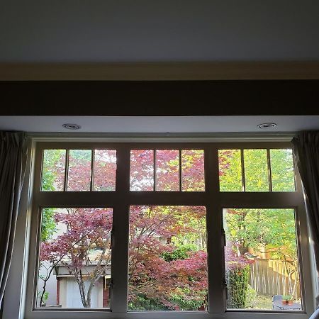 Elegant, Sunny Modern Home With Skylights - Kitsilano, 溫哥華 外观 照片